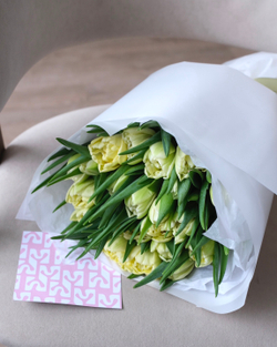 Моно из 25 пионовидных тюльпанов Авангард