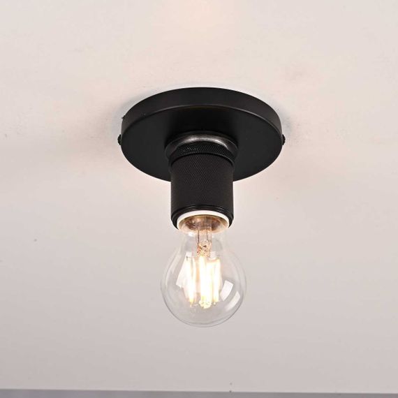 Потолочный светильник Imperium Loft RH Utilitaire Socket Flushmount 123676-22