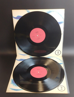 2 LP Madonna - Erotica. Volume 1 / Volume 2. 2 Виниловые пластинка 12 дюймов