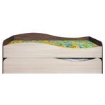 Кровать Колледж 2-х местн.раздвижная б/матр.