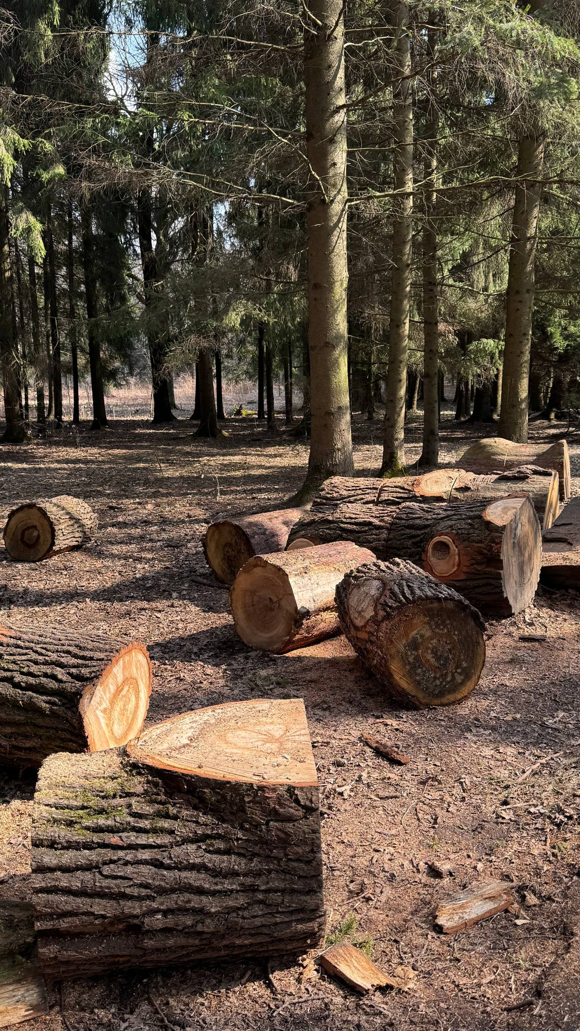 греем души и согреваем сердца