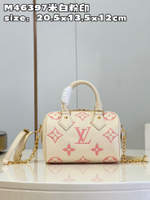Louis Vuitton Speedy 20