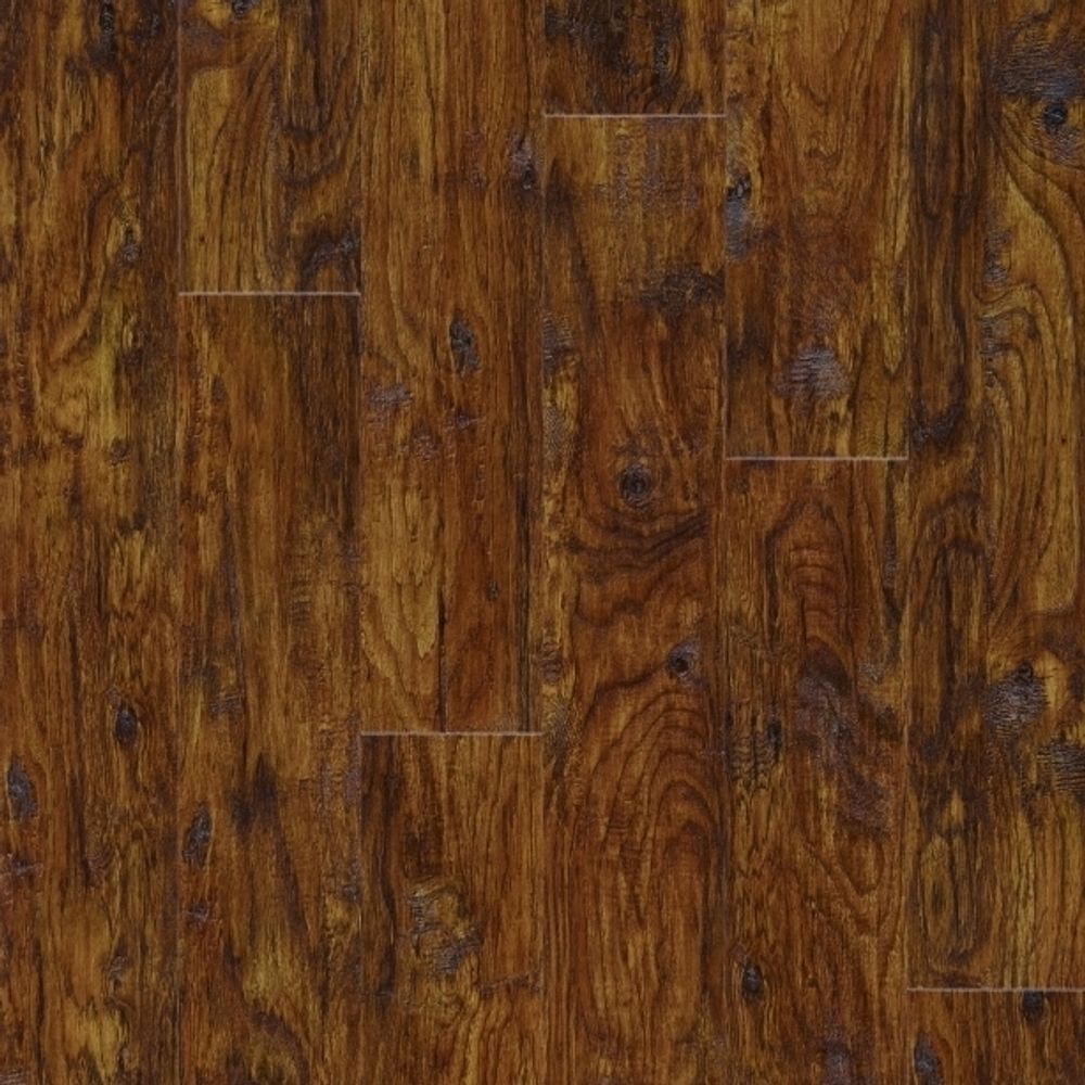 Eastern Hickory 57885