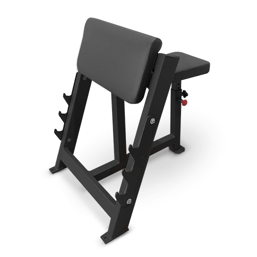 Скамья Скотта BRONZE GYM AL-303