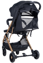 Коляска прогулочная Farfello Comfy Go, золотой черный (Golden black) Артикул: CG-99