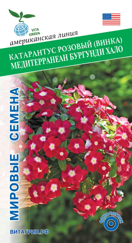 Катарантус розовый Медитерранеан Бургунди Хало 5шт Мировые Семена VITA GREEN