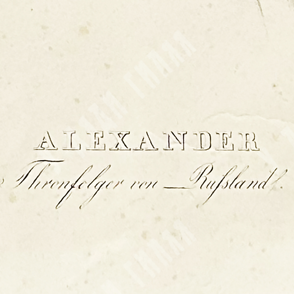 Портрет наследника цесаревича Александра Николаевича. Литография, 1839.