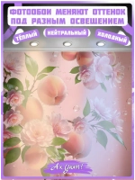 3D Розовые фотообои на кухню фрукты и цветы