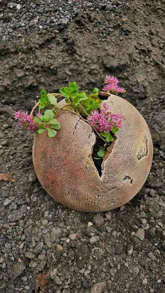 Фигура-кашпо &quot;Шар разлом&quot; Закупка М47 апрель-май 2026