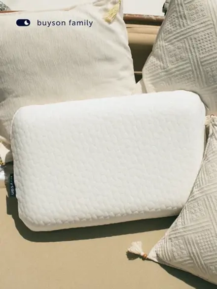 Подушка БайТревэл (в дорожном чехле)