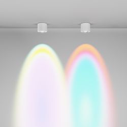 Светильник потолочный светодиодный Maytoni Lens C217CL-15W4K-W