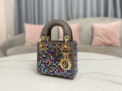 Christian Dior Lady Dior Micro