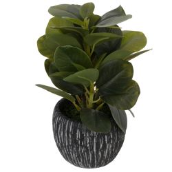 GAEM Цветочная композиция, L10 W10 H25 см