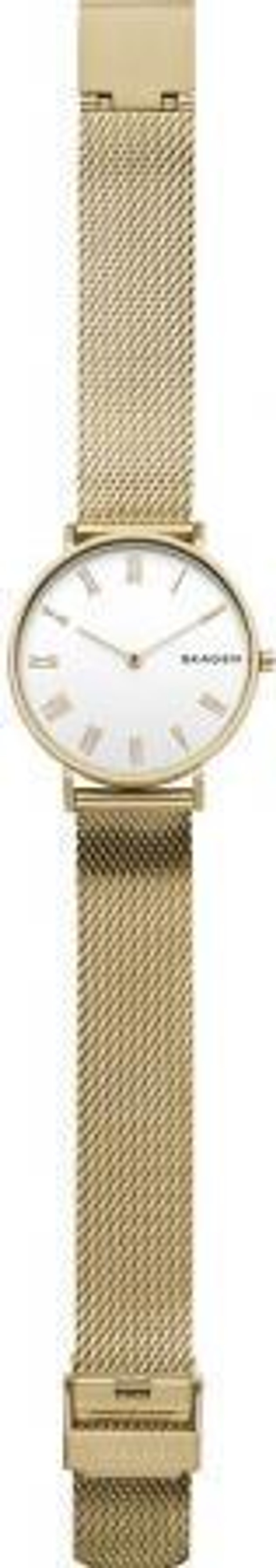 Женские наручные часы Skagen SKW2713