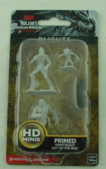 D&D Miniatures: Blights