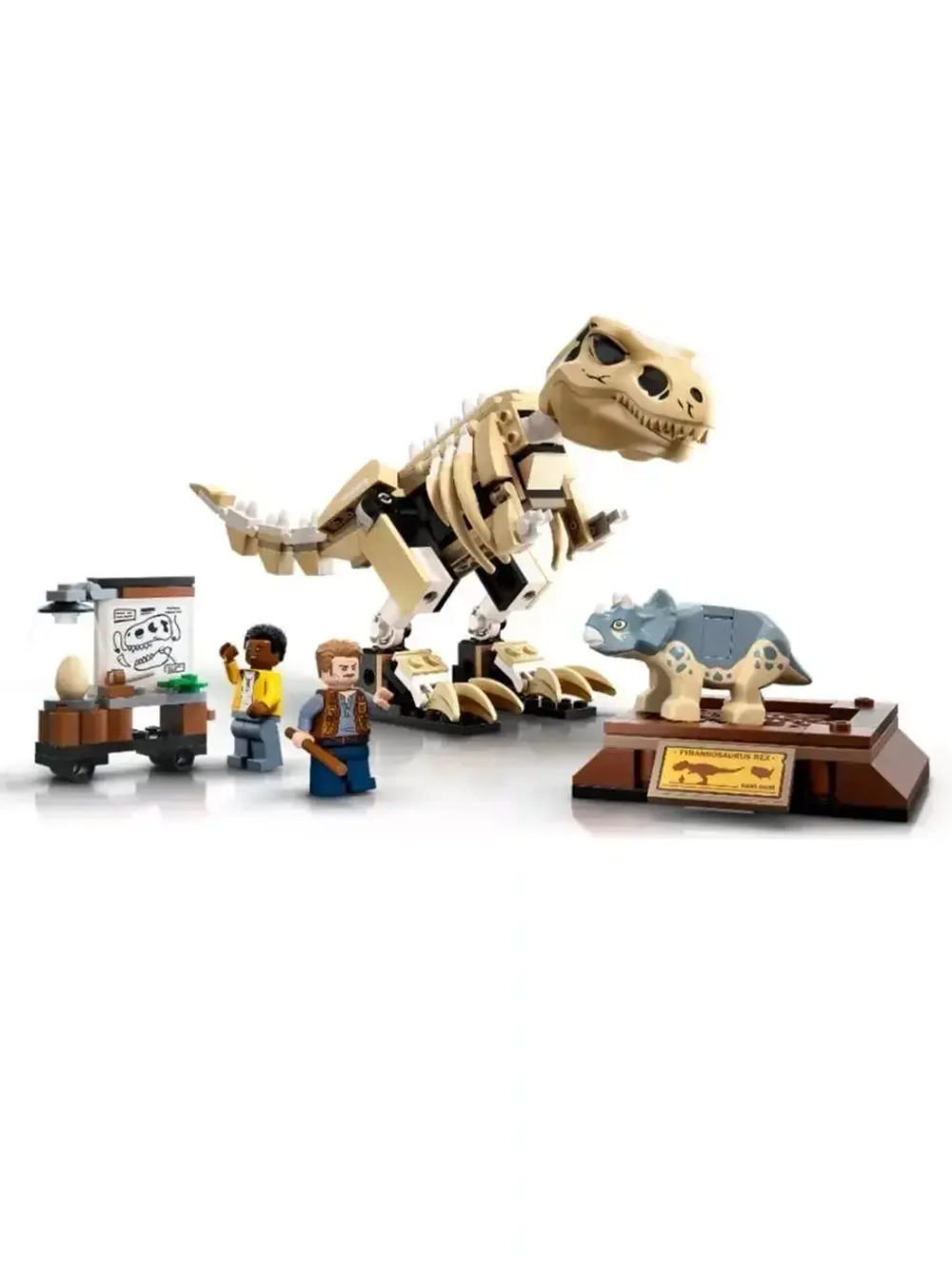 Конструктор Скелет тираннозавра на выставке 210 дет 60132