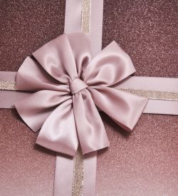 WF-165/2-A Коробка сред., бордовый