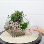 Лейка для полива флорариума