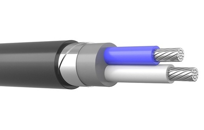 Кабель АВБШвнг-LS 2х25-0,66