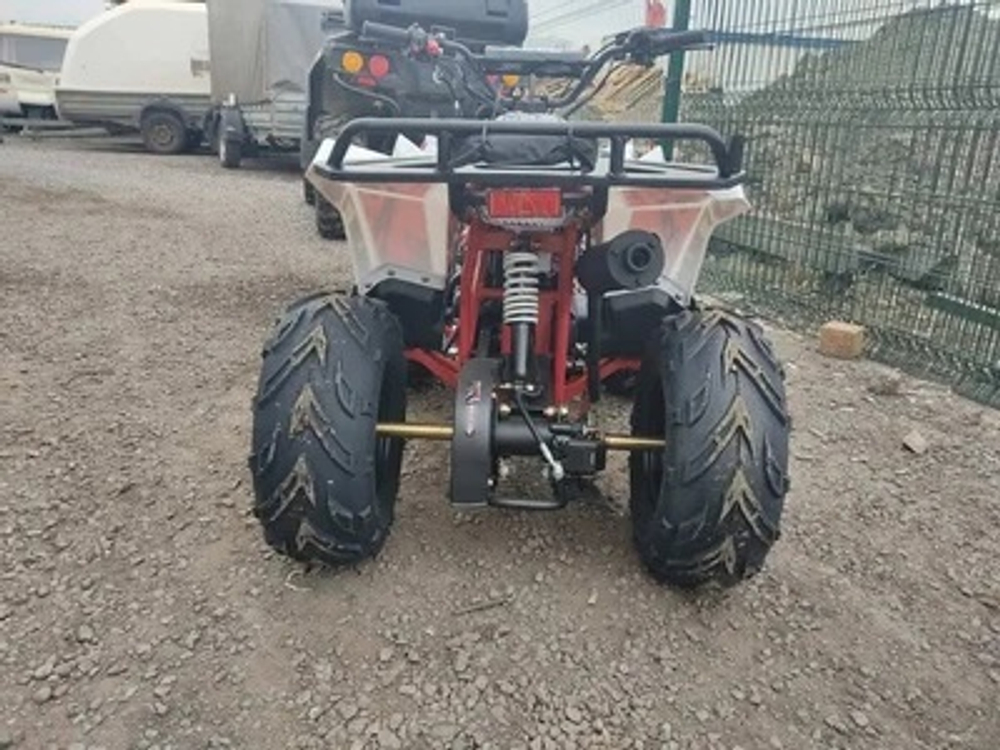 Квадроцикл WELS EVO.M