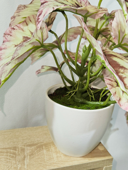 Искусственная Бегония розовая 40см в кашпо