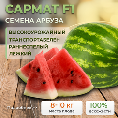 САРМАТ F1 семена арбуза (Sakata | Alexagro)