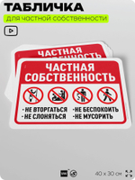 Табличка для частной территории "Частная собственность", на дом, для участка, организаций, предупреждающая, 40х30 см, Silver Plane x Айдентика Технолоджи