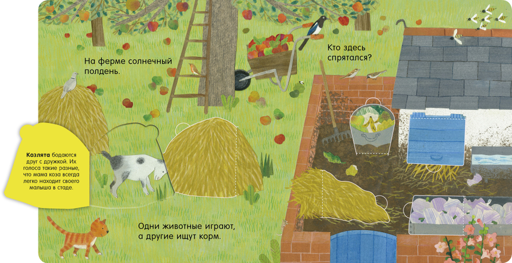 Книжка с окошками. В деревне