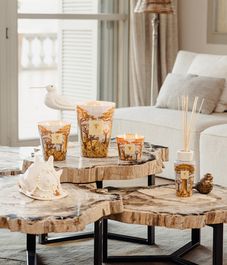 Cocody, свеча MAX 24 Sacred Trees collection, Baobab Collection