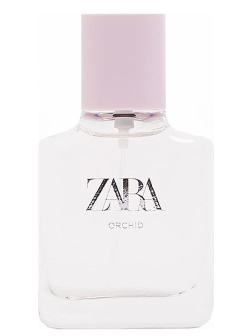 Zara Orchid 2019