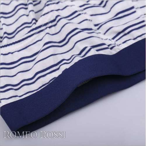 Мужские трусы брифы бело-синие Romeo Rossi RR2010-9