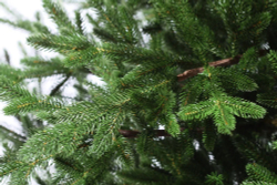 Ель искусственная Прайм 215 см