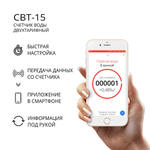Счетчик воды СВТ-15-110 универсальный двухтарифный