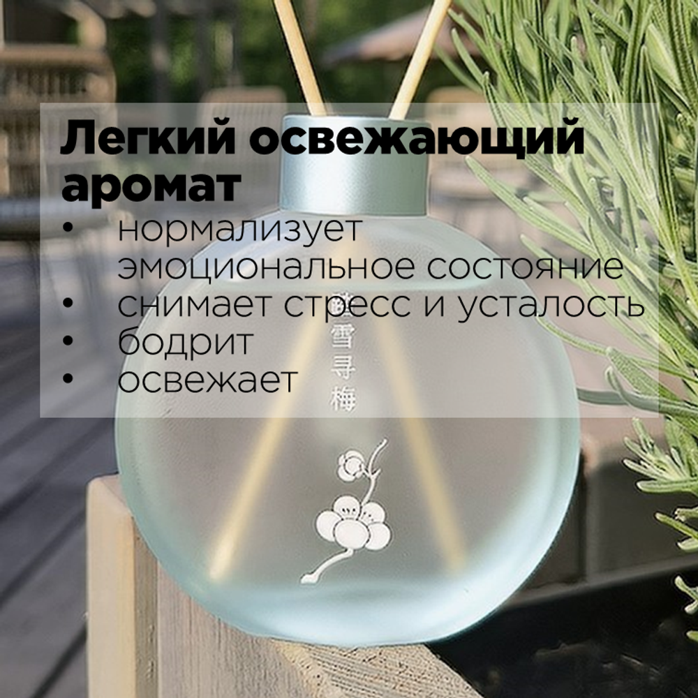 Диффузор ароматический для дома с тростниковыми палочками ПЕРВЫЙ СНЕГ