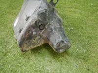 DSCN2255.jpg