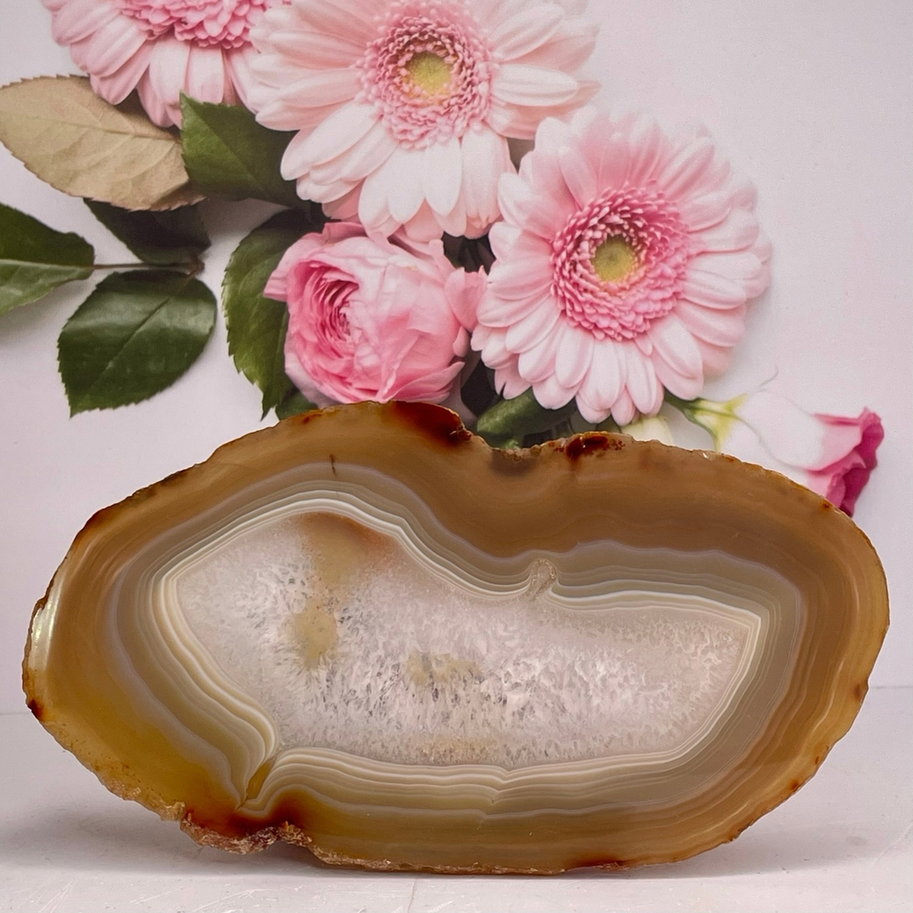 41124 Агат Срез 196мм