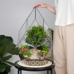 Готовый флорариум бонсай Мирсина Фаберже