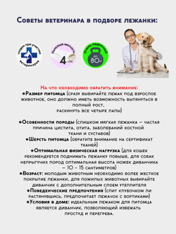 Лежанка для кошек и собак мелких и средних пород, диван Chauzi Лео ЭКОмех премиум, лежак для животных с бортиками, 70*50 см, Капучино