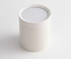 Накладной светильник Maytoni Hoop C086CM-GX53-MRD-W