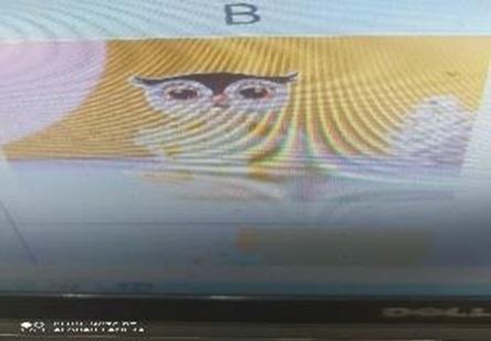 Набор для творчества выращивание - цветущие фигуры, C-42265