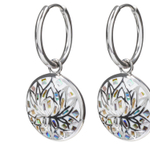 Серьги Fiore Luna AE03596-1