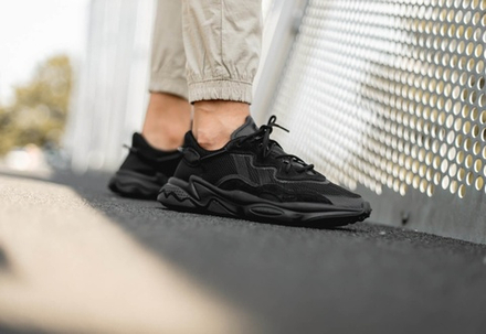 Кроссовки Adidas Originals Ozweego (EE6999)