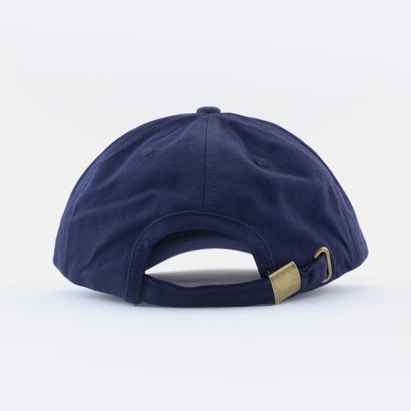 Кепка Anteater 6Panel (navy) артикул: - купить в магазине Дайс