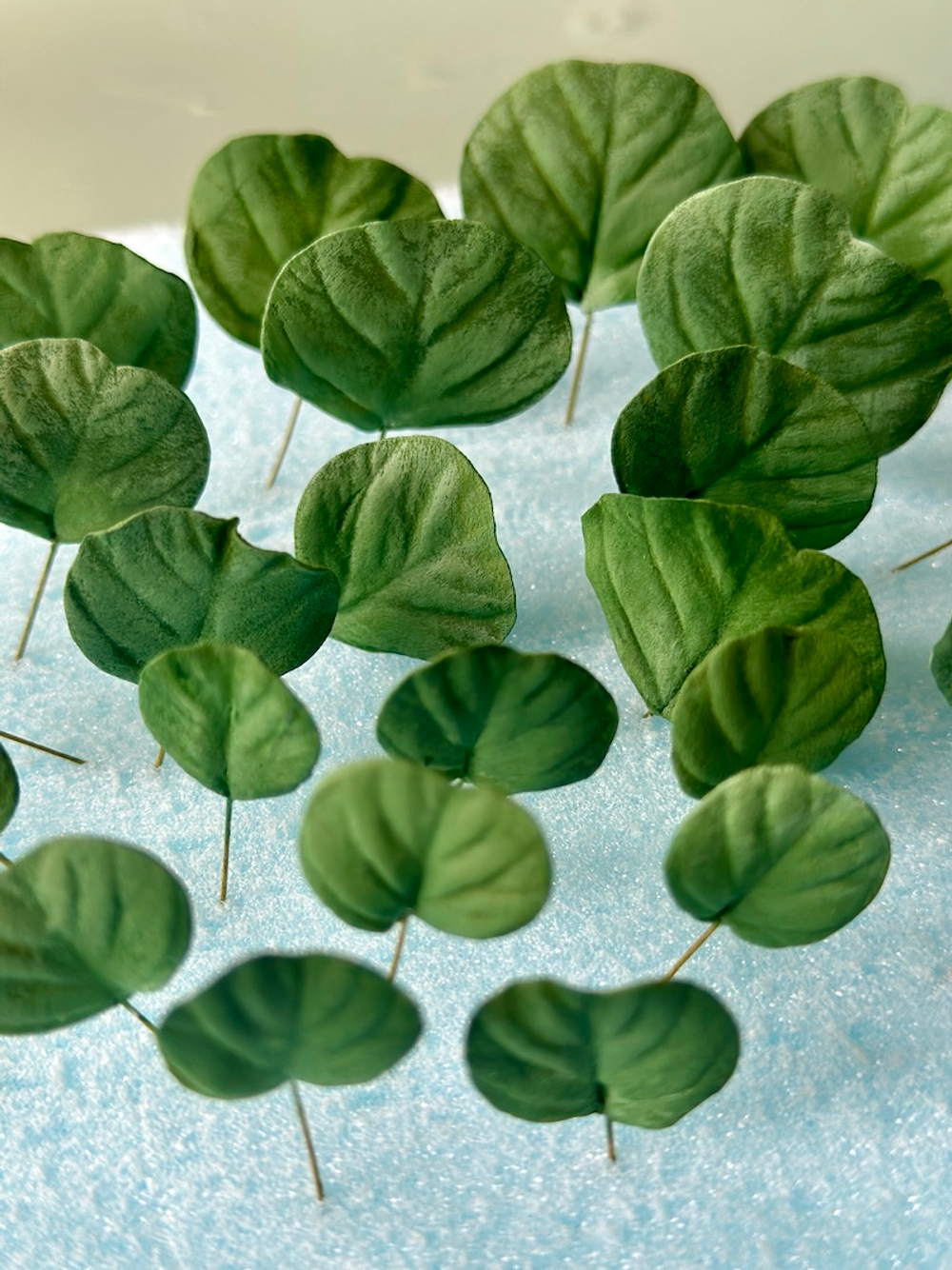 Набор вайнеров для лепки листьев эвкалипта Coprussia