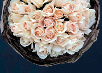 Крим Пьяже — пионовидные розы