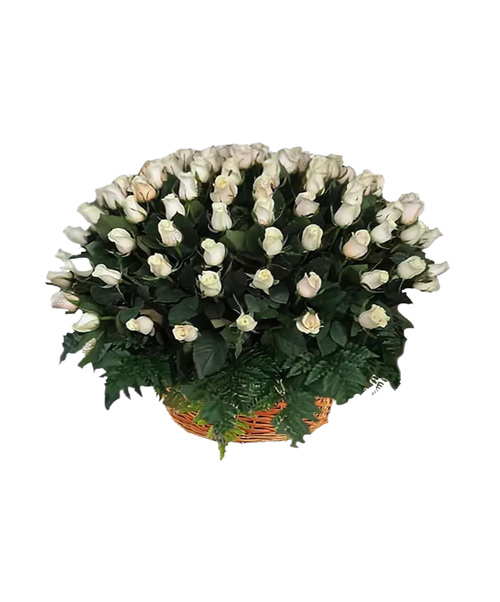 Ритуальная корзина из живых цветов «80 белых роз с папоротником»