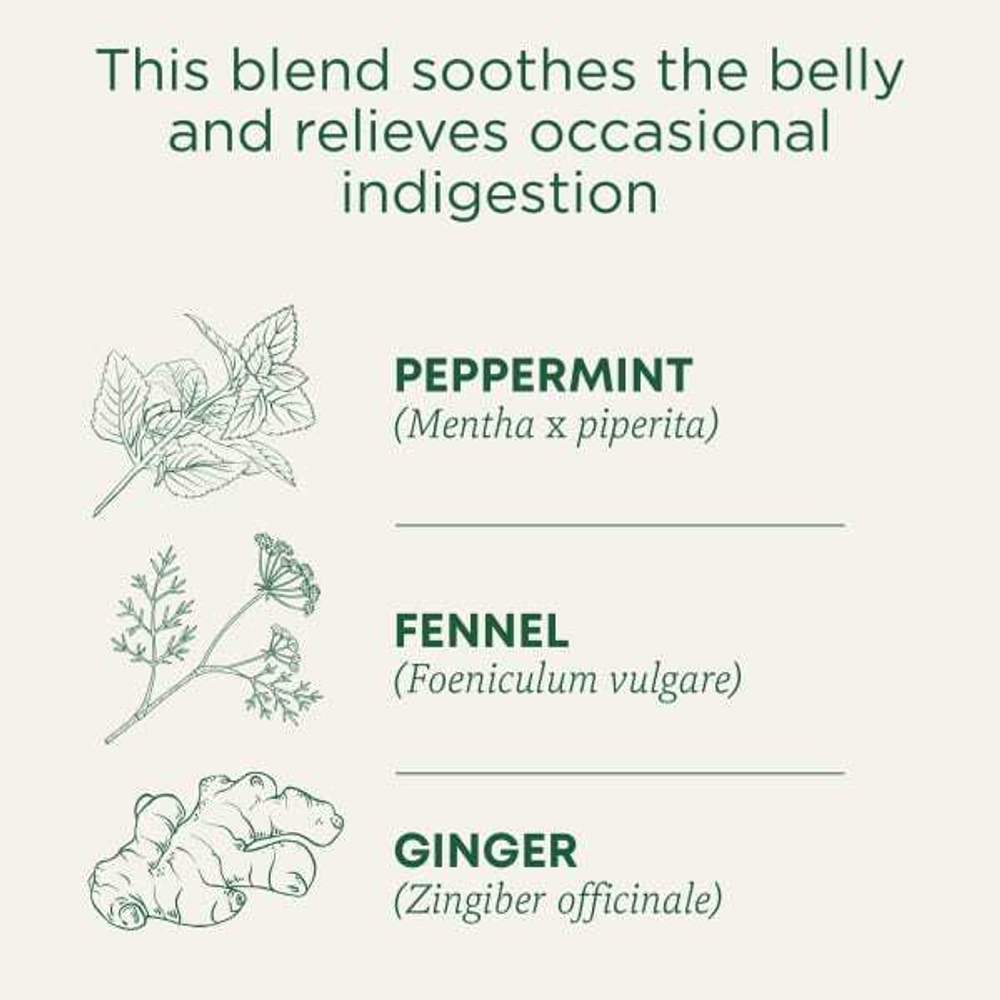 Traditional Medicinals, Organic Belly Comfort, перечная мята, без кофеина, 16 чайных пакетиков в упаковке, 28 г (0,99 унции)