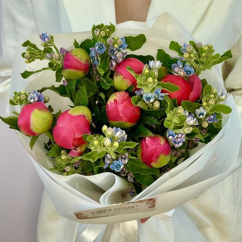 Авторский букет с пионами Коралл Шарм и оксипеталумом. Авторский букет 037 Chalet Green