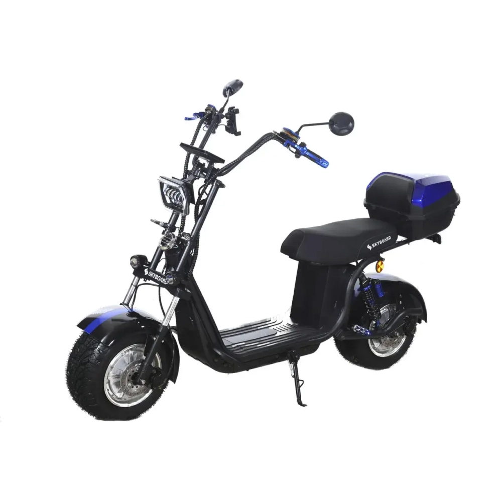 Электроскутер Skyboard BR30-2WD (Ural)