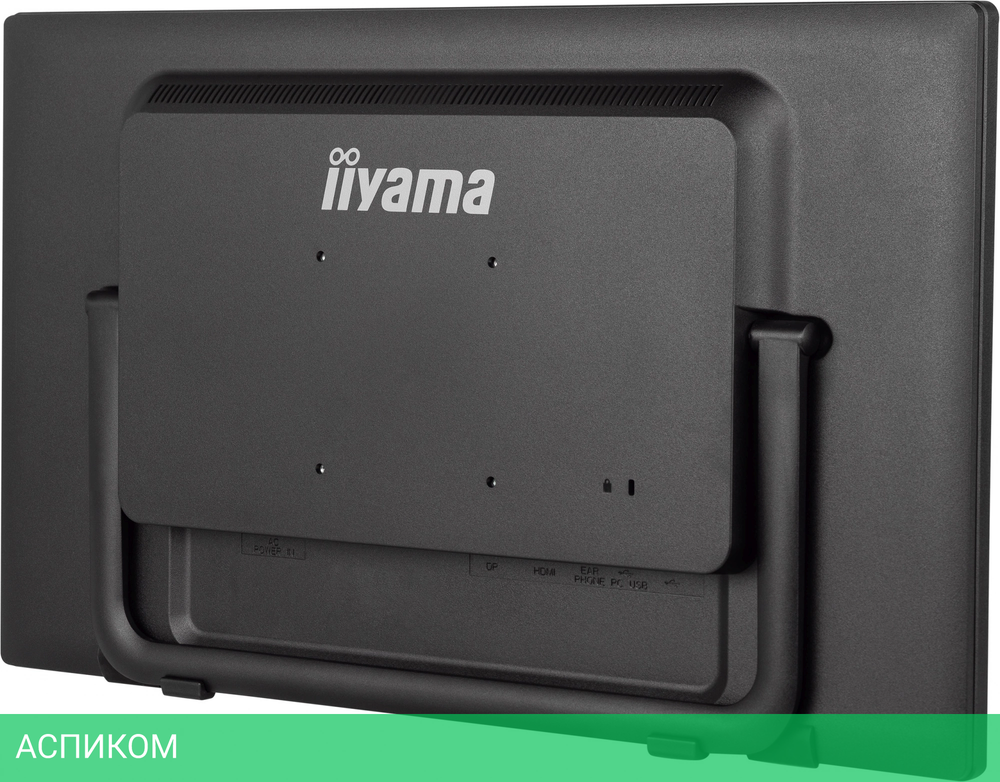 Монитор Iiyama ProLite T2455MSC-B1 черный